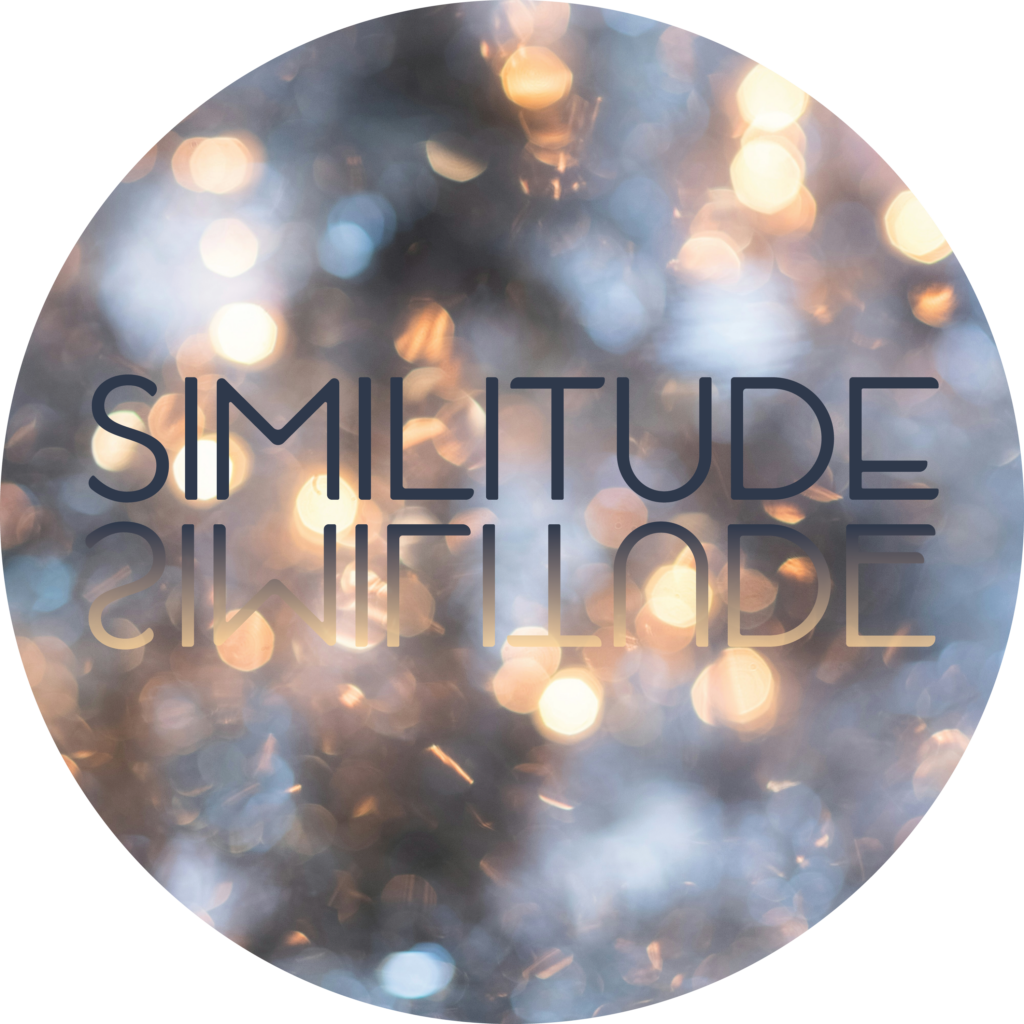 Similitute SIMILITUDE - The Florida Holocaust Museum